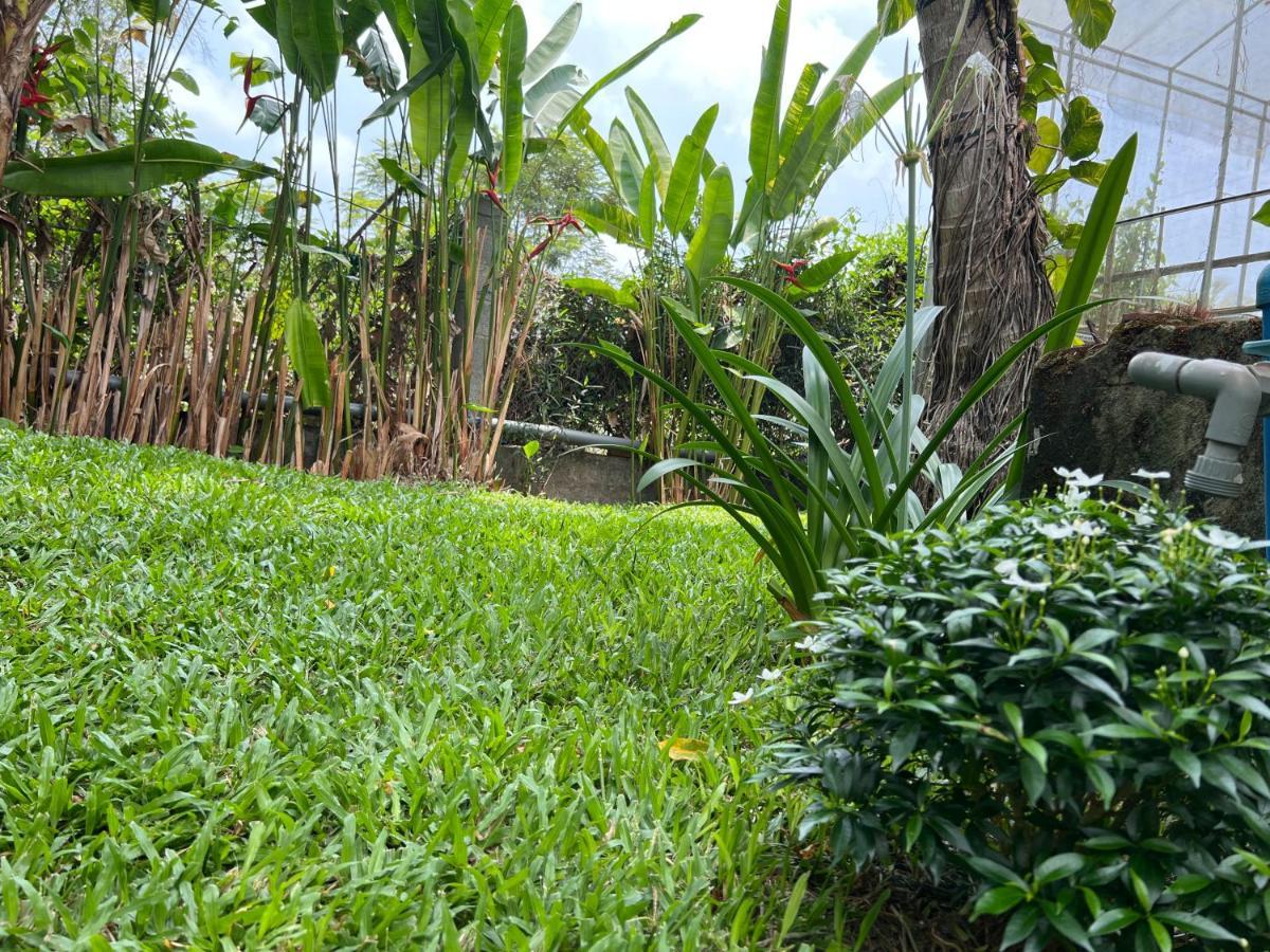 Tropical Garden Phu Quoc Leilighet Eksteriør bilde