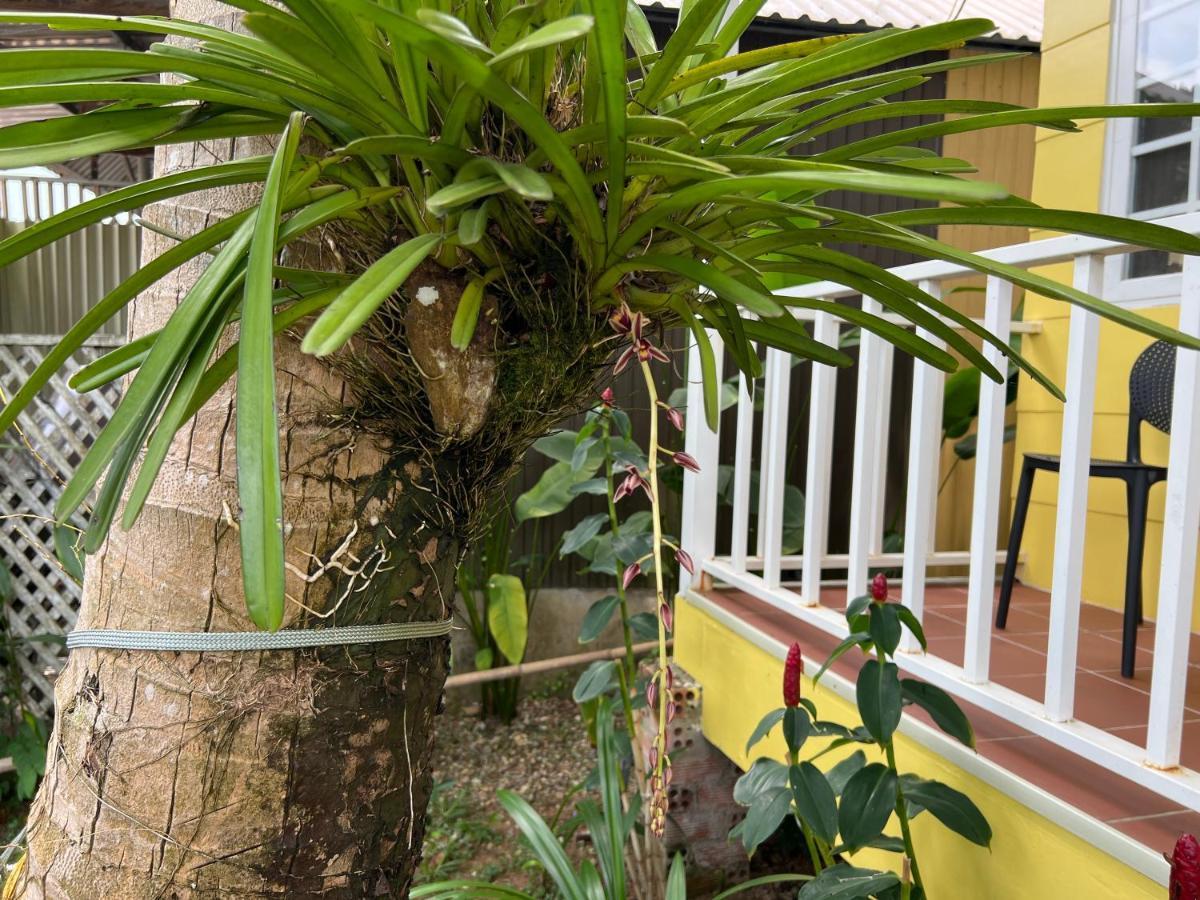Tropical Garden Phu Quoc Leilighet Eksteriør bilde
